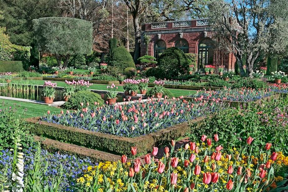Fioli_Gardens